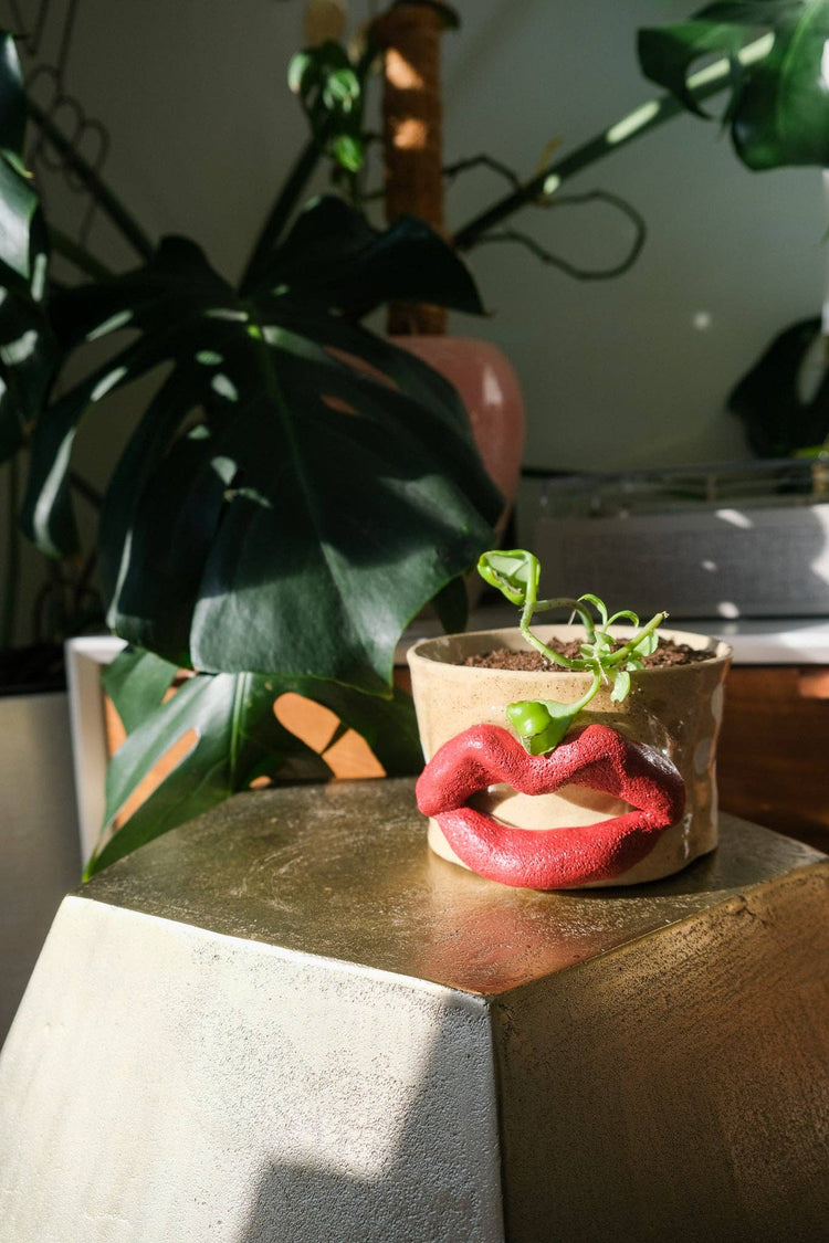Flower Power Lip Planter