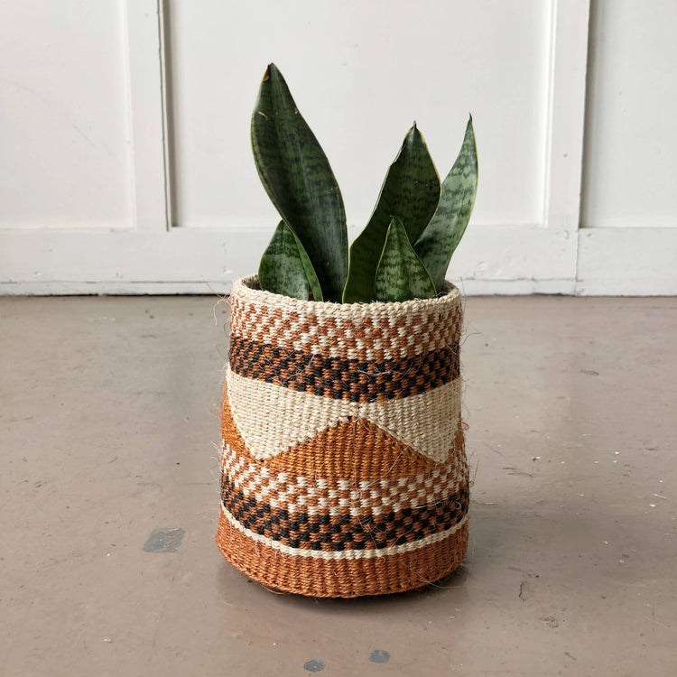 Fine Weave Baskets (Assorted): Large