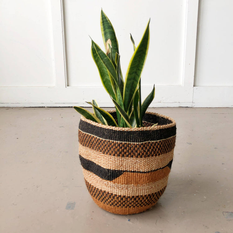 Fine Weave Baskets (Assorted): Large