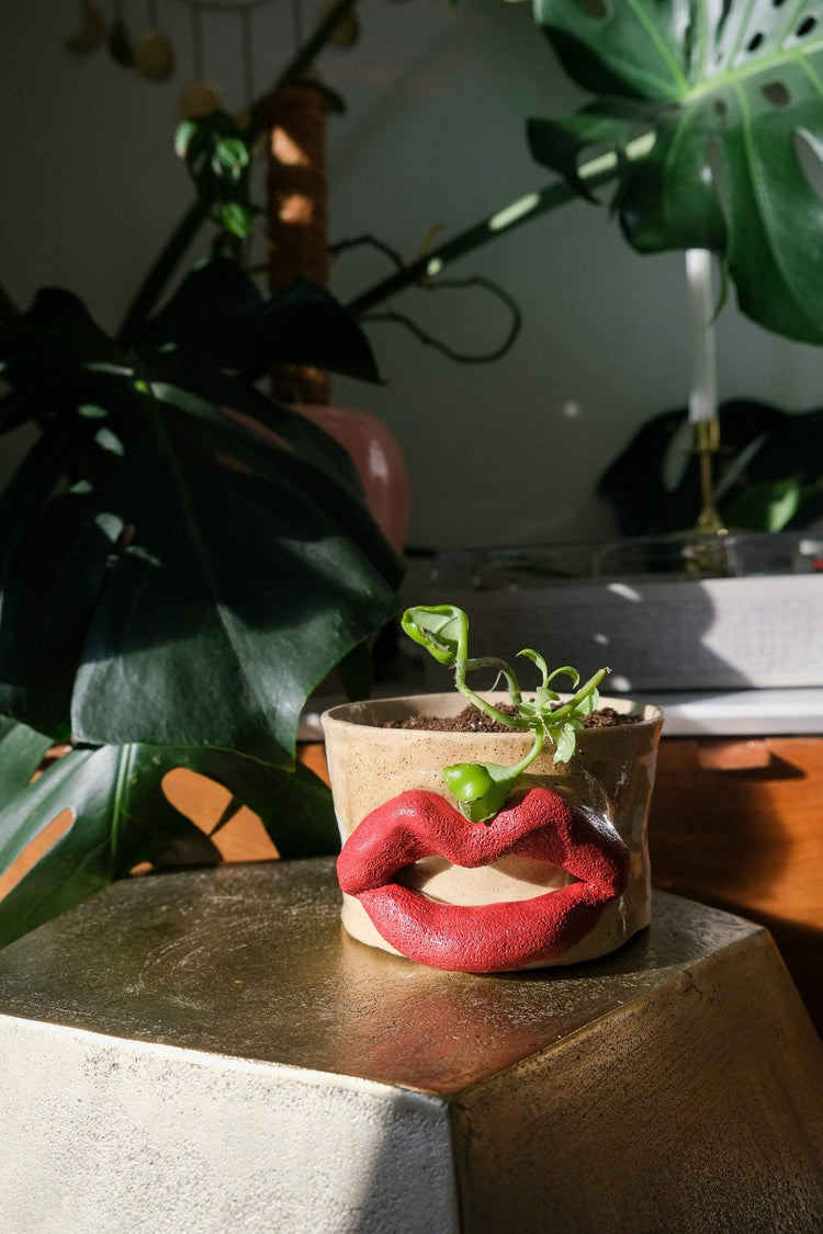 Flower Power Lip Planter