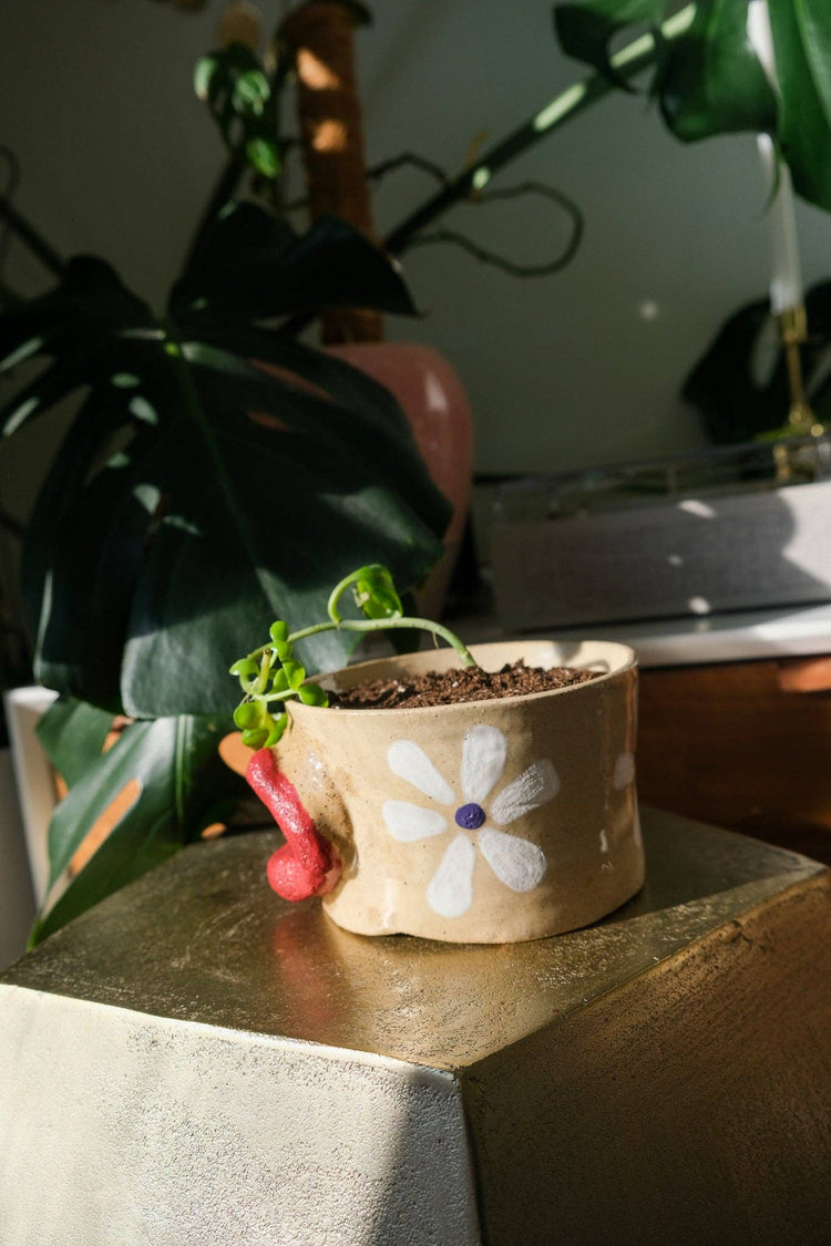 Flower Power Lip Planter