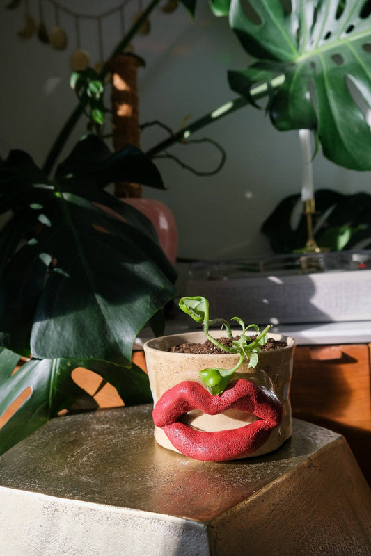 Flower Power Lip Planter