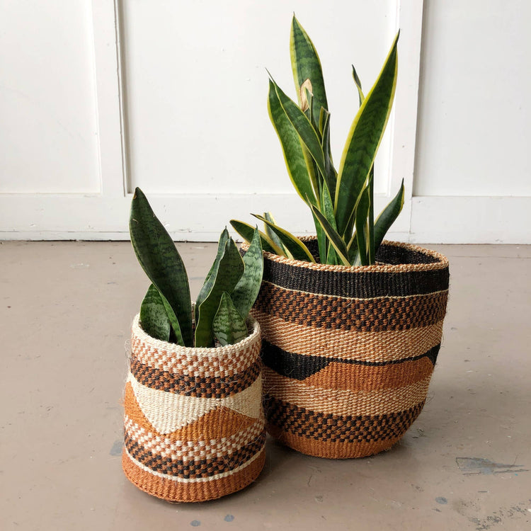 Fine Weave Baskets (Assorted): Large