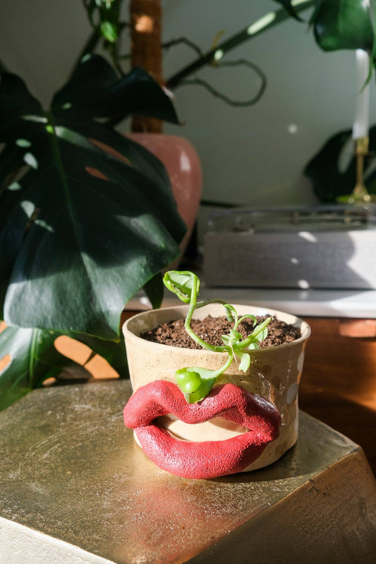 Flower Power Lip Planter