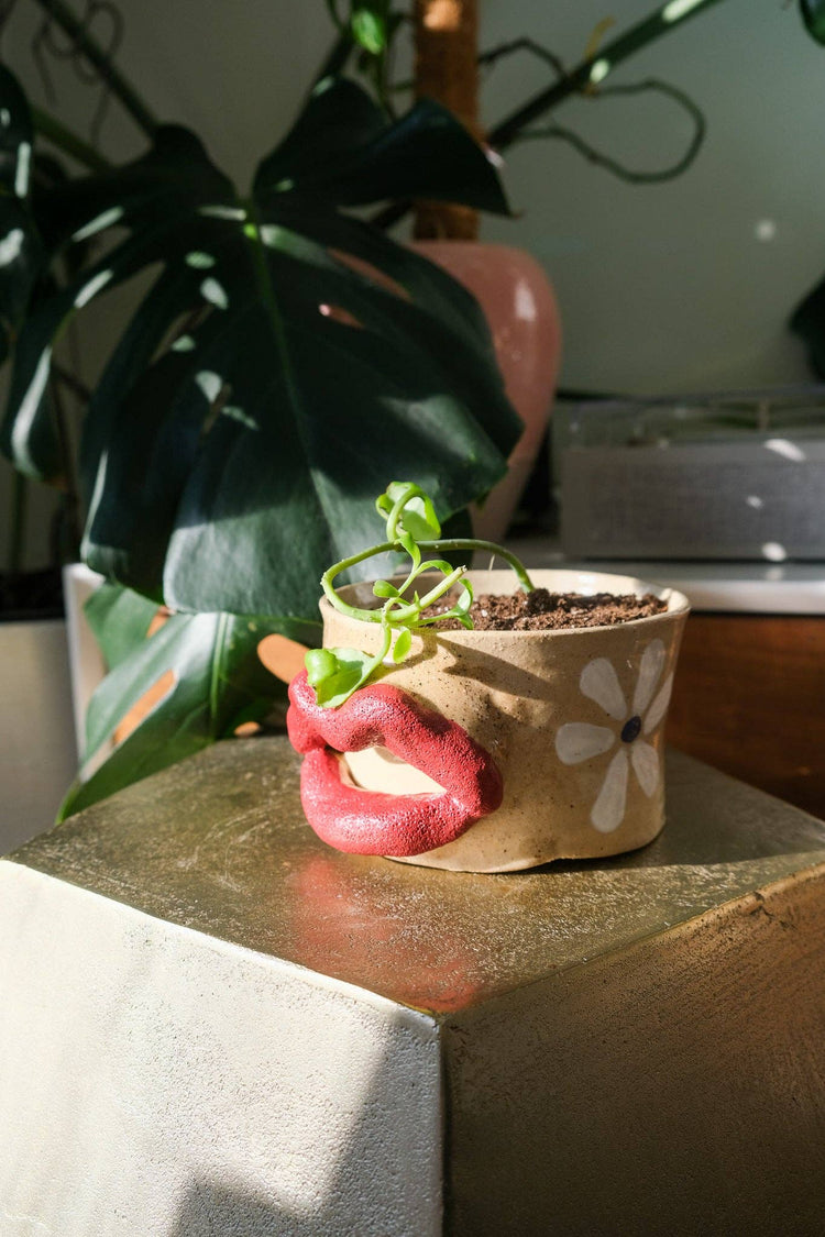 Flower Power Lip Planter