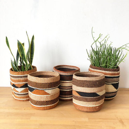 Fine Weave Baskets (Assorted): Large