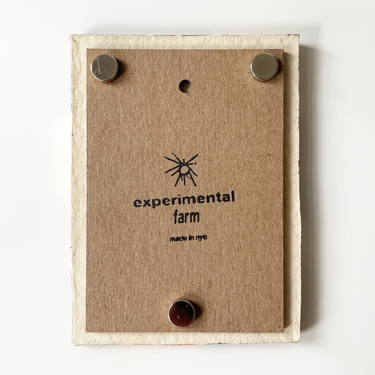 Blue Radial Instax Magnetic Picture Frame