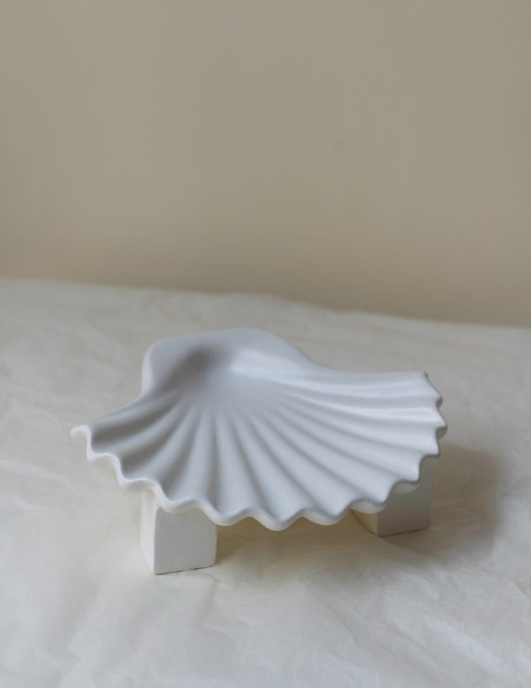 White Seashell Plate