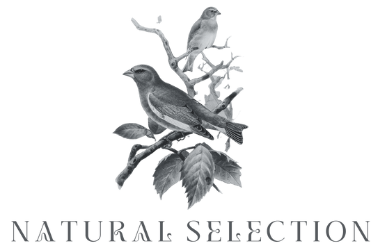 Natural Selection Digital Gift Card