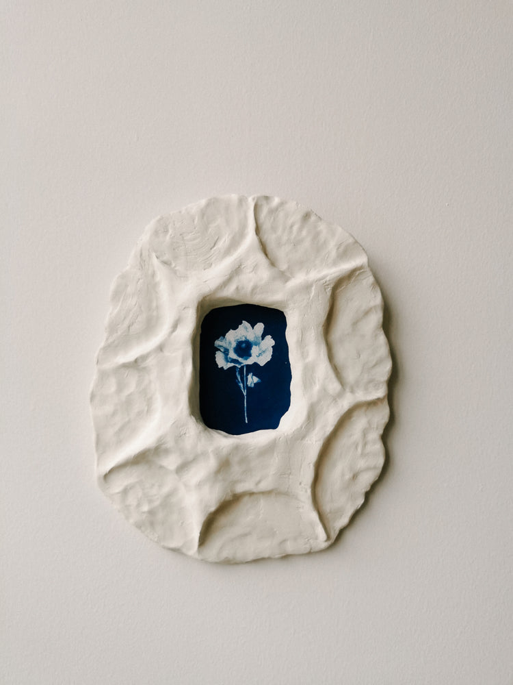 Tanya Coates Cyanotypes