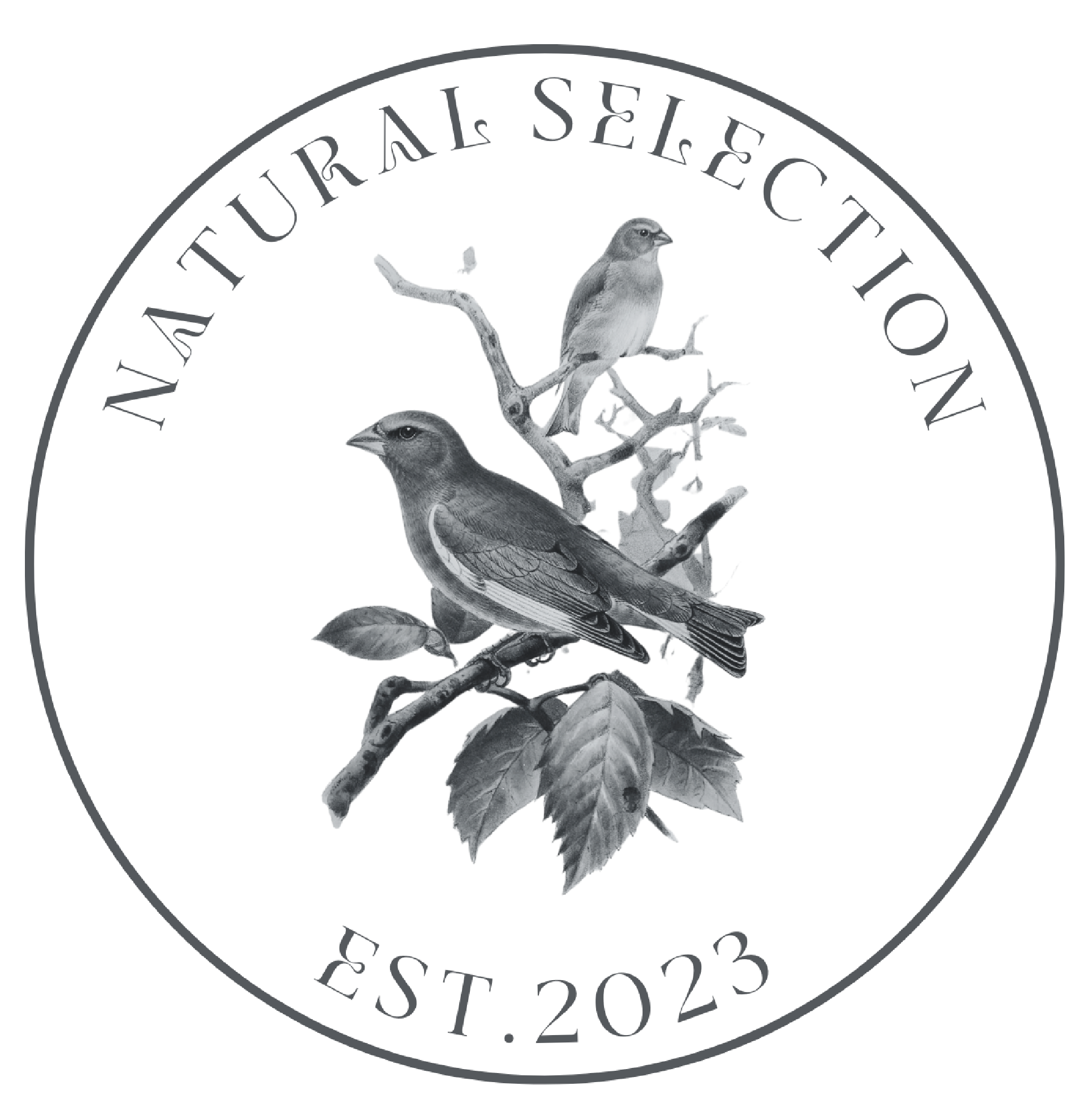 https://naturalselectionny.com/cdn/shop/files/Nat_Selection_Logo_Circle-01_1929x.png?v=1681143863