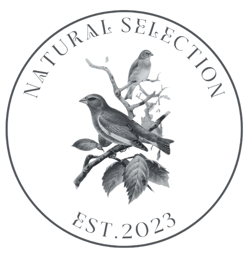 Natural Selection