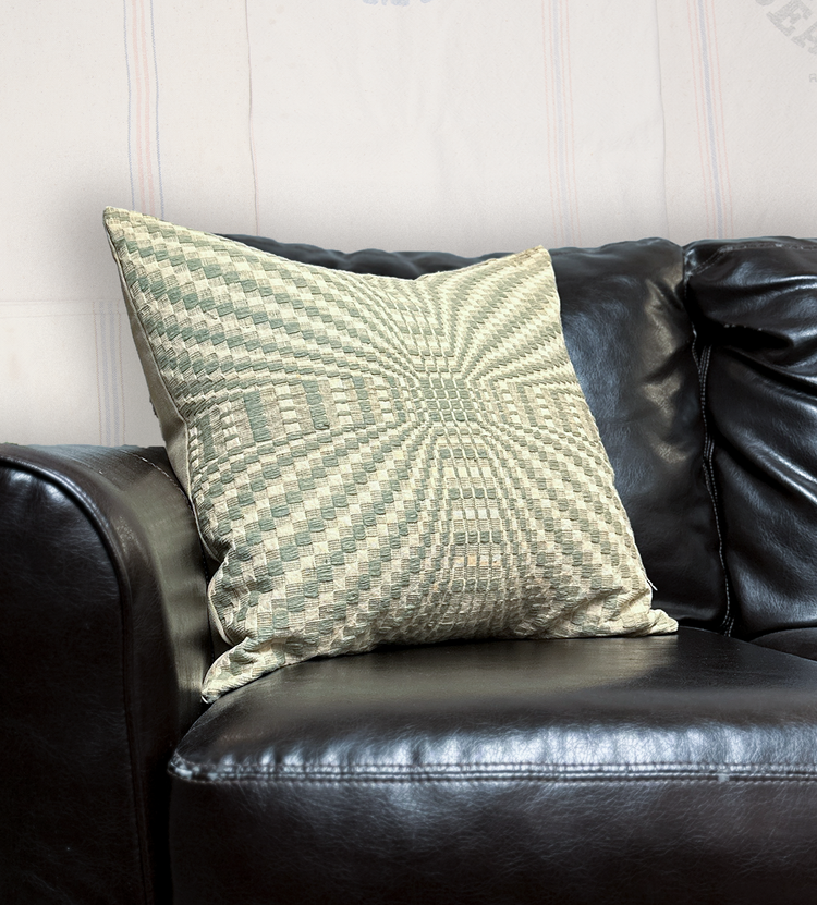 Appalachian Throw Pillow