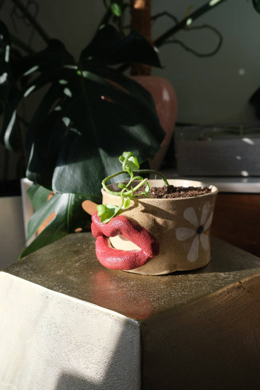 Flower Power Lip Planter